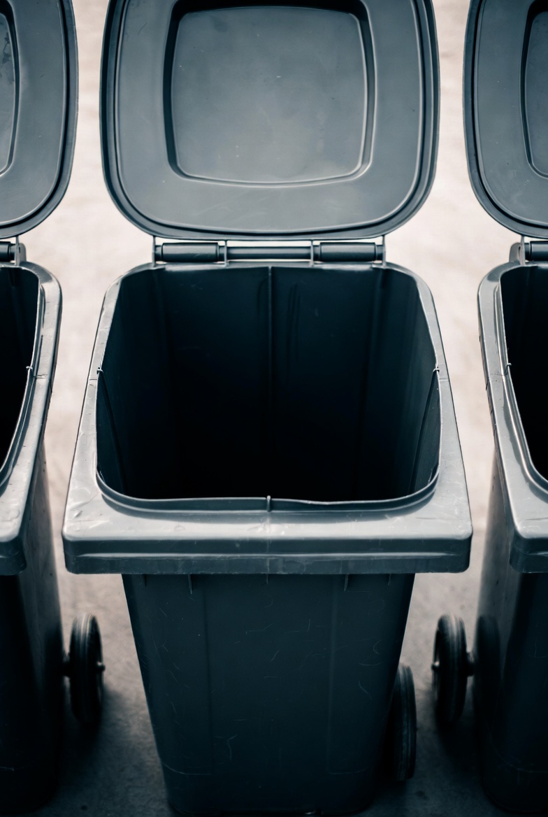 Mülltonnenreinigung